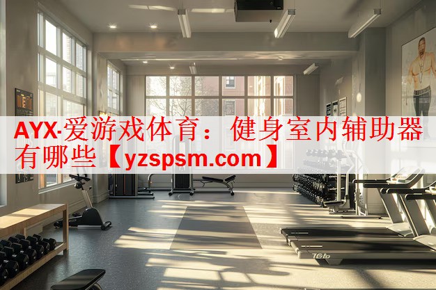 AYX·爱游戏体育：健身室内辅助器有哪些