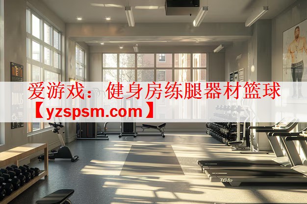爱游戏：健身房练腿器材篮球