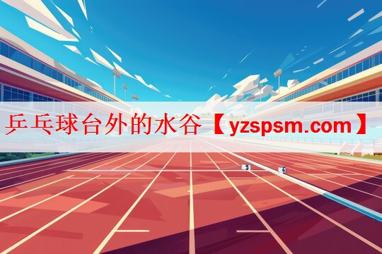 乒乓球台外的水谷