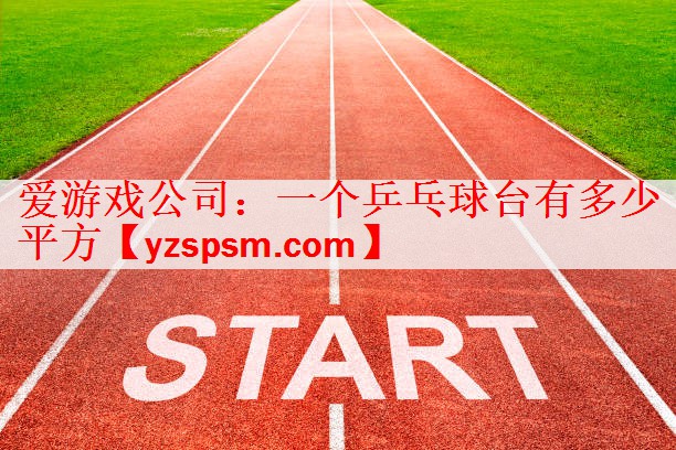 爱游戏公司：一个乒乓球台有多少平方