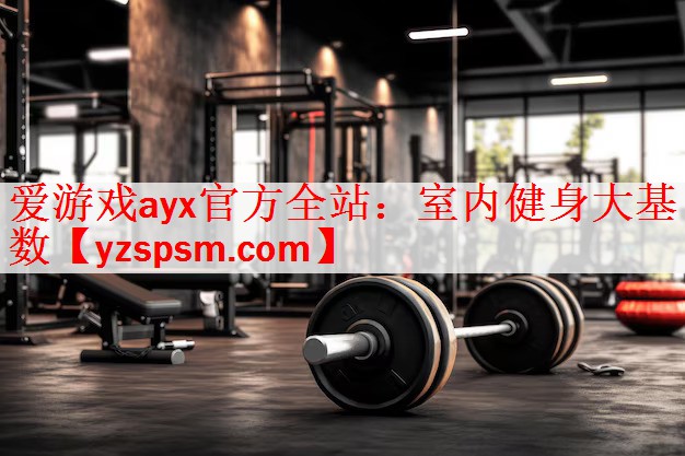 爱游戏ayx官方全站：室内健身大基数