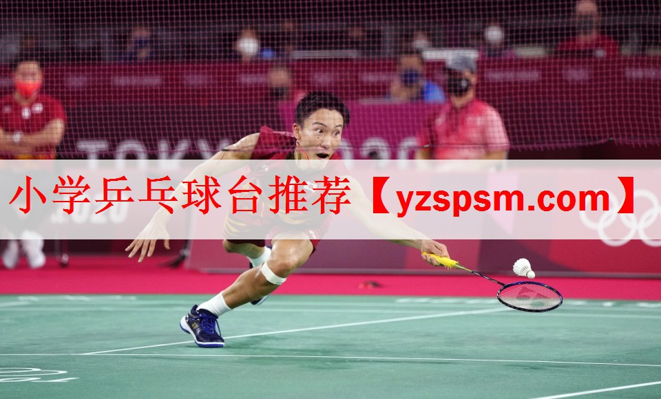 小学乒乓球台推荐