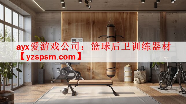 <strong>ayx爱游戏公司：篮球后卫训练器材</strong>