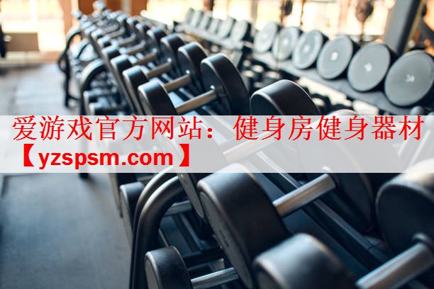爱游戏官方网站：健身房健身器材