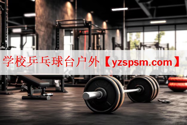 <strong>学校乒乓球台户外</strong>