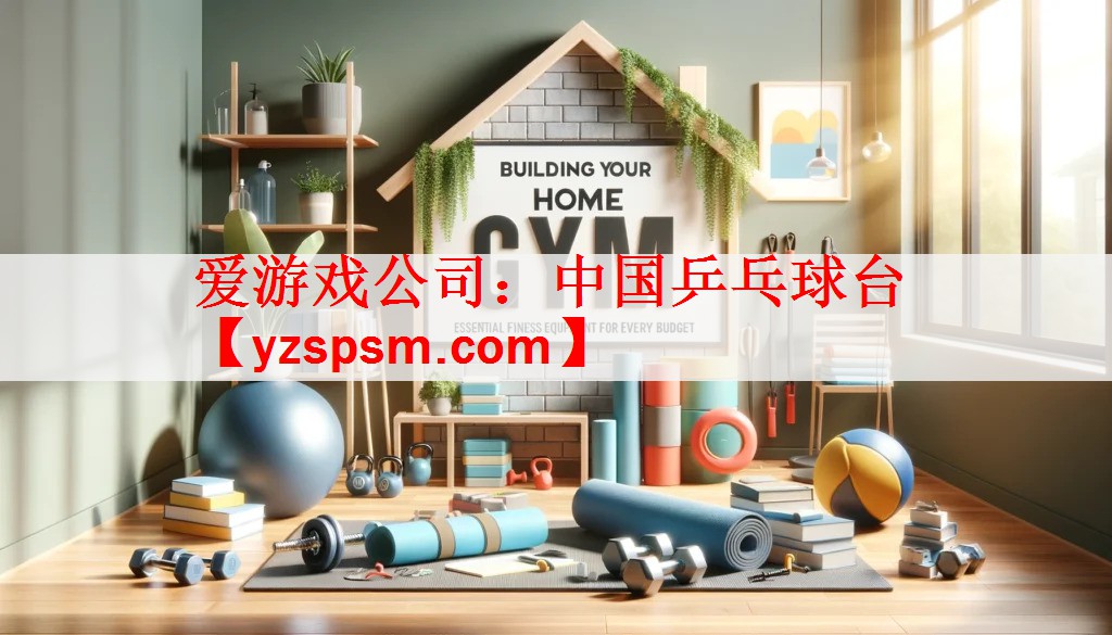 爱游戏公司：中国乒乓球台