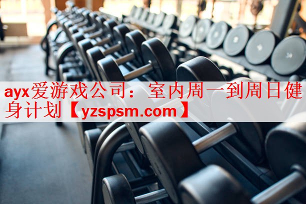ayx爱游戏公司：室内周一到周日健身计划