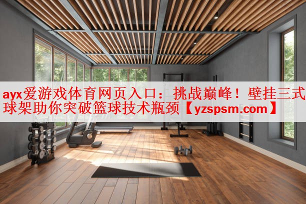 <strong>ayx爱游戏体育网页入口：挑战巅峰！壁挂三式篮球架助你突破篮球技术瓶颈</strong>