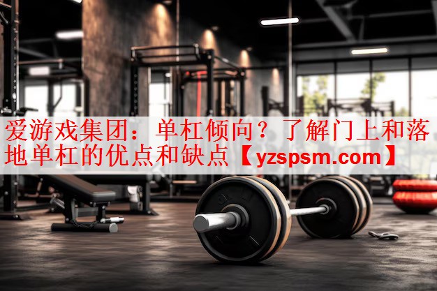 <strong>爱游戏集团：单杠倾向？了解门上和落地单杠的优点和缺点</strong>