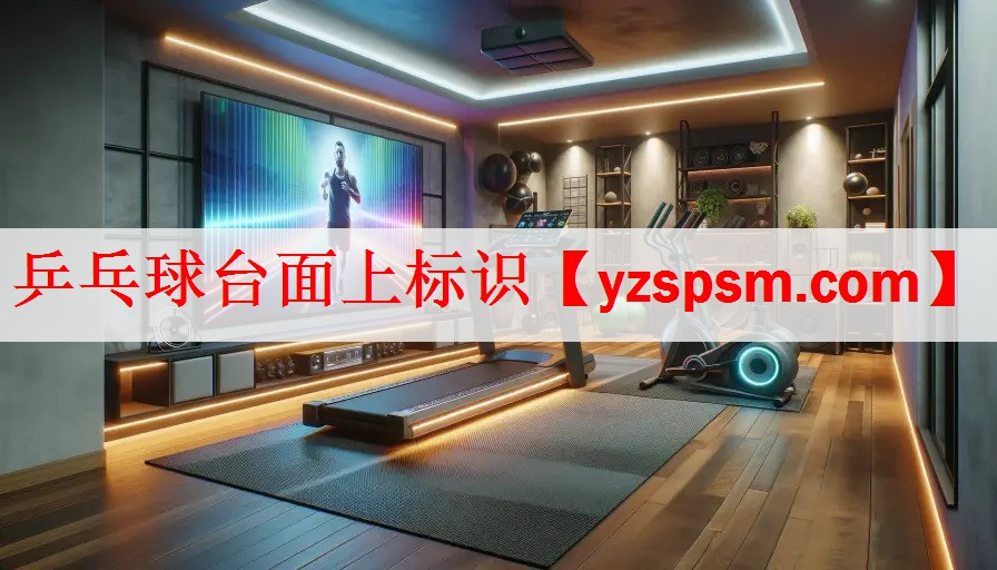 乒乓球台面上标识
