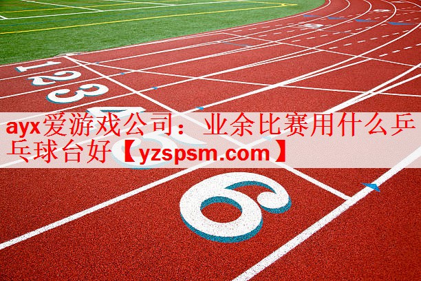 ayx爱游戏公司：业余比赛用什么乒乓球台好