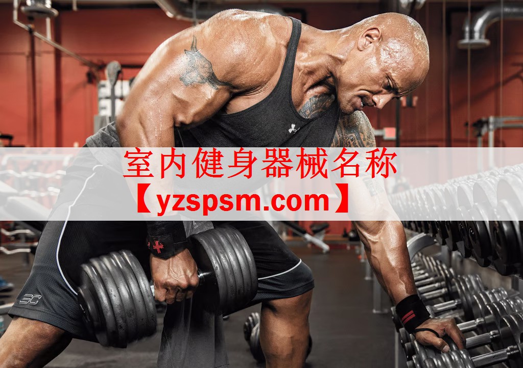 <strong>室内健身器械名称</strong>