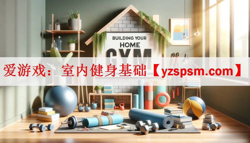 爱游戏：室内健身基础