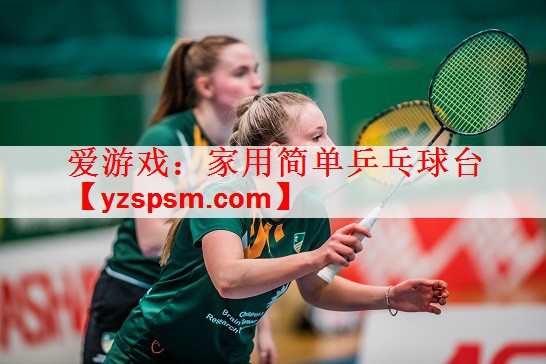 爱游戏：家用简单乒乓球台