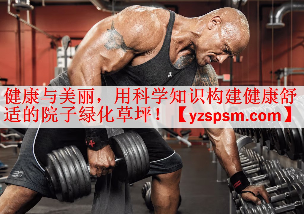健康与美丽，用科学知识构建健康舒适的院子绿化草坪！