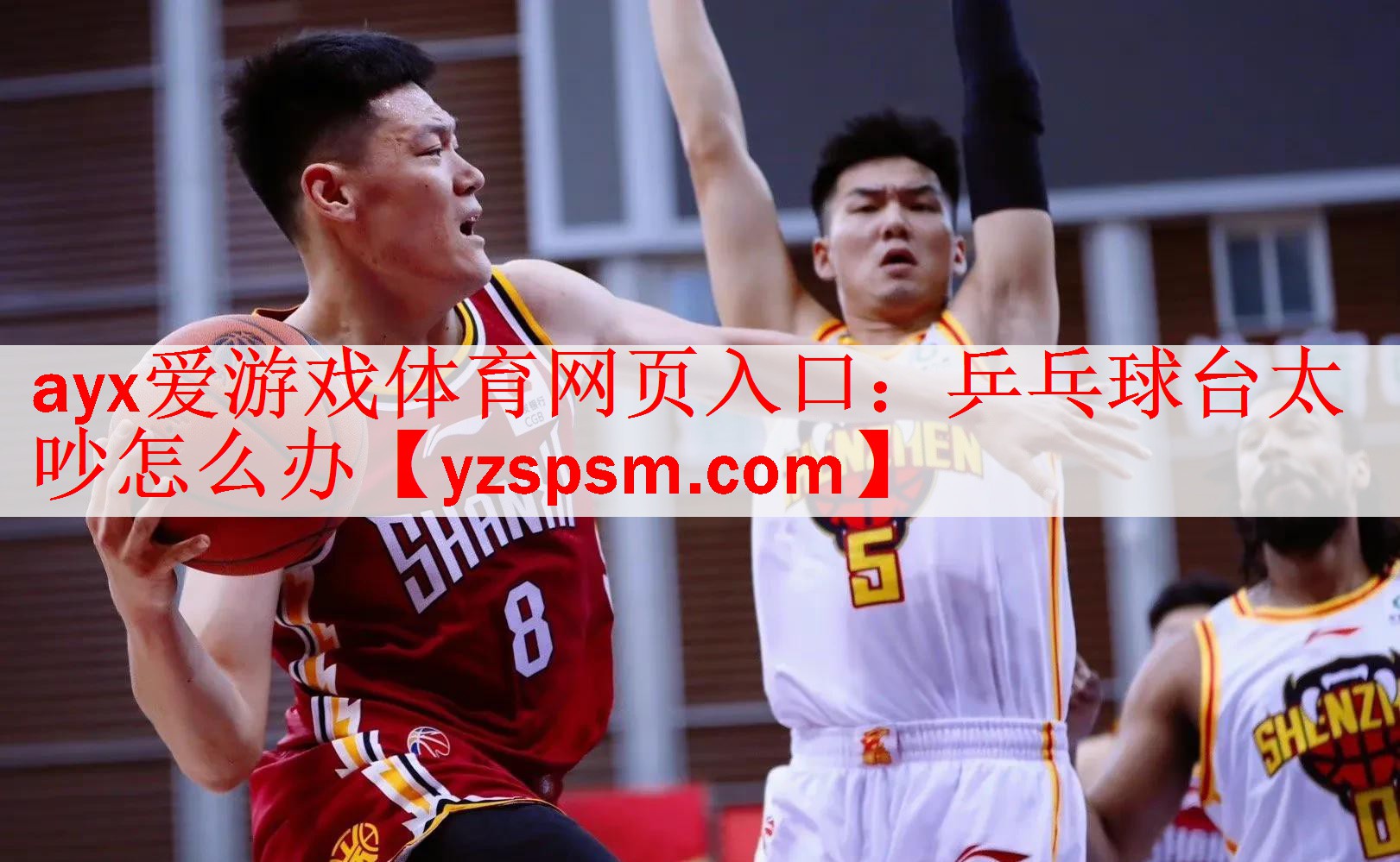 ayx爱游戏体育网页入口：乒乓球台太吵怎么办