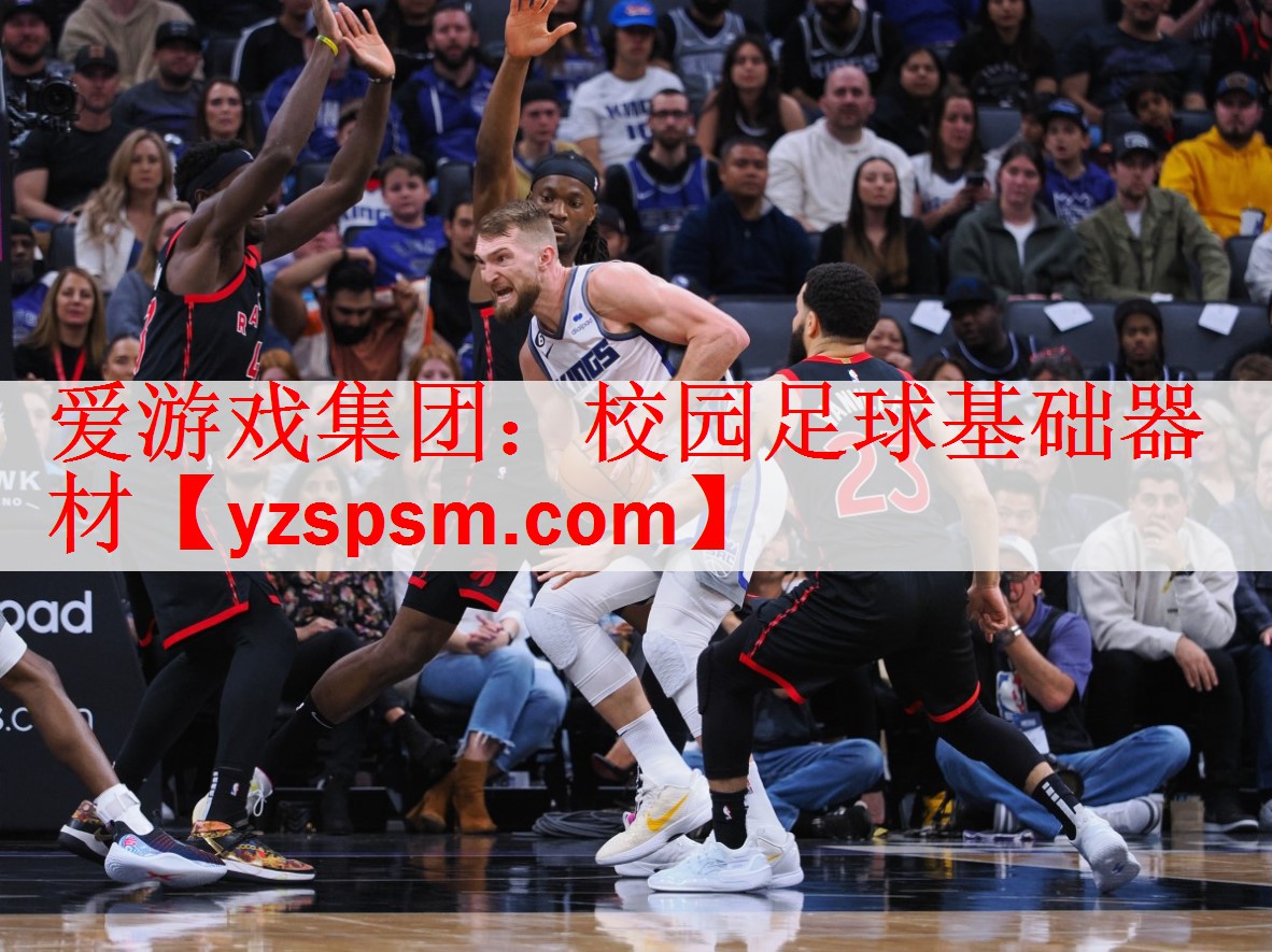<strong>爱游戏集团：校园足球基础器材</strong>
