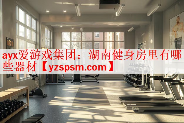 <strong>ayx爱游戏集团：湖南健身房里有哪些器材</strong>