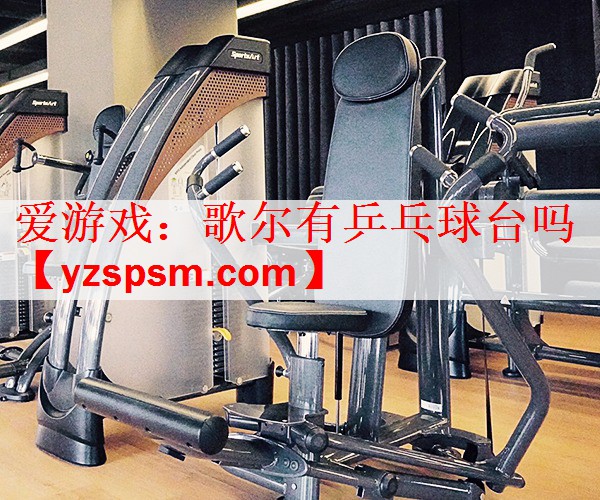 爱游戏：歌尔有乒乓球台吗