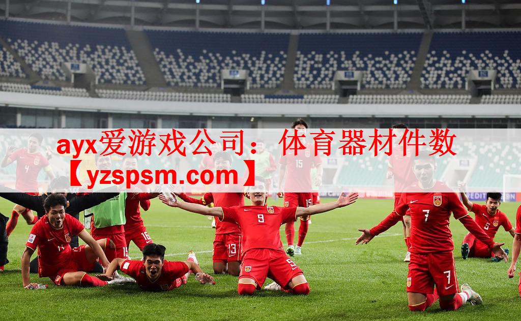 <strong>ayx爱游戏公司：体育器材件数</strong>
