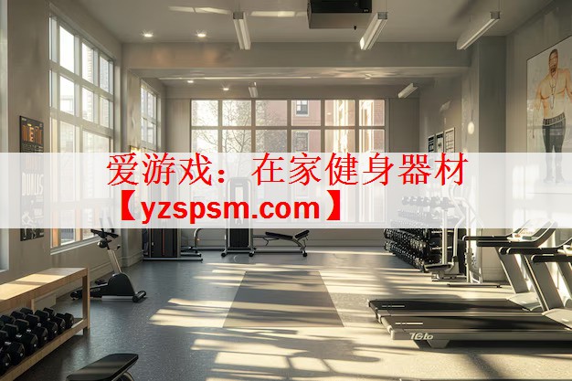 爱游戏：在家健身器材
