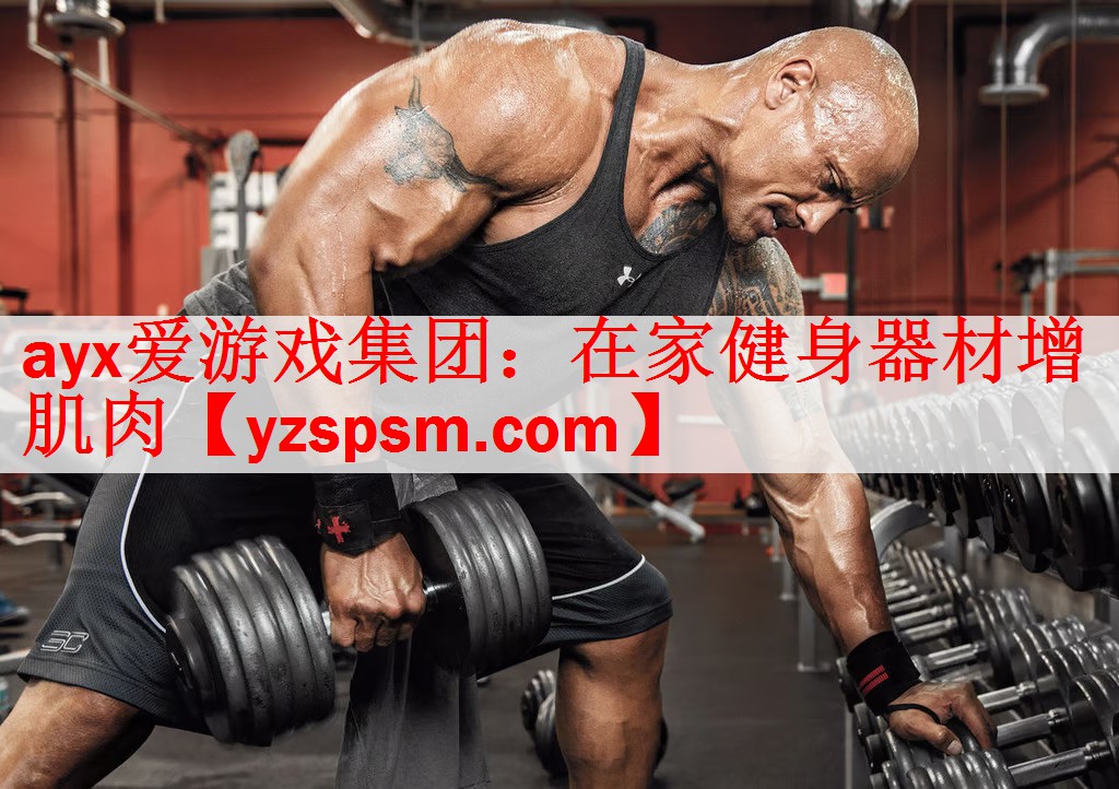 ayx爱游戏集团：在家健身器材增肌肉