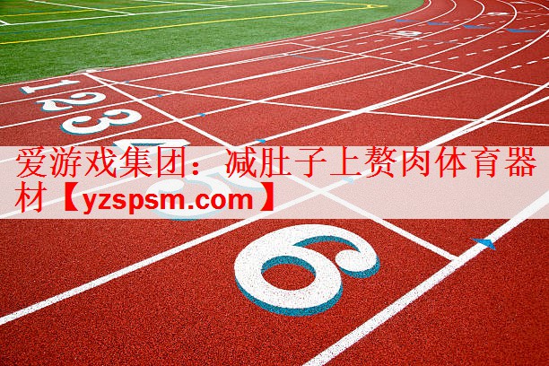 爱游戏集团：减肚子上赘肉体育器材