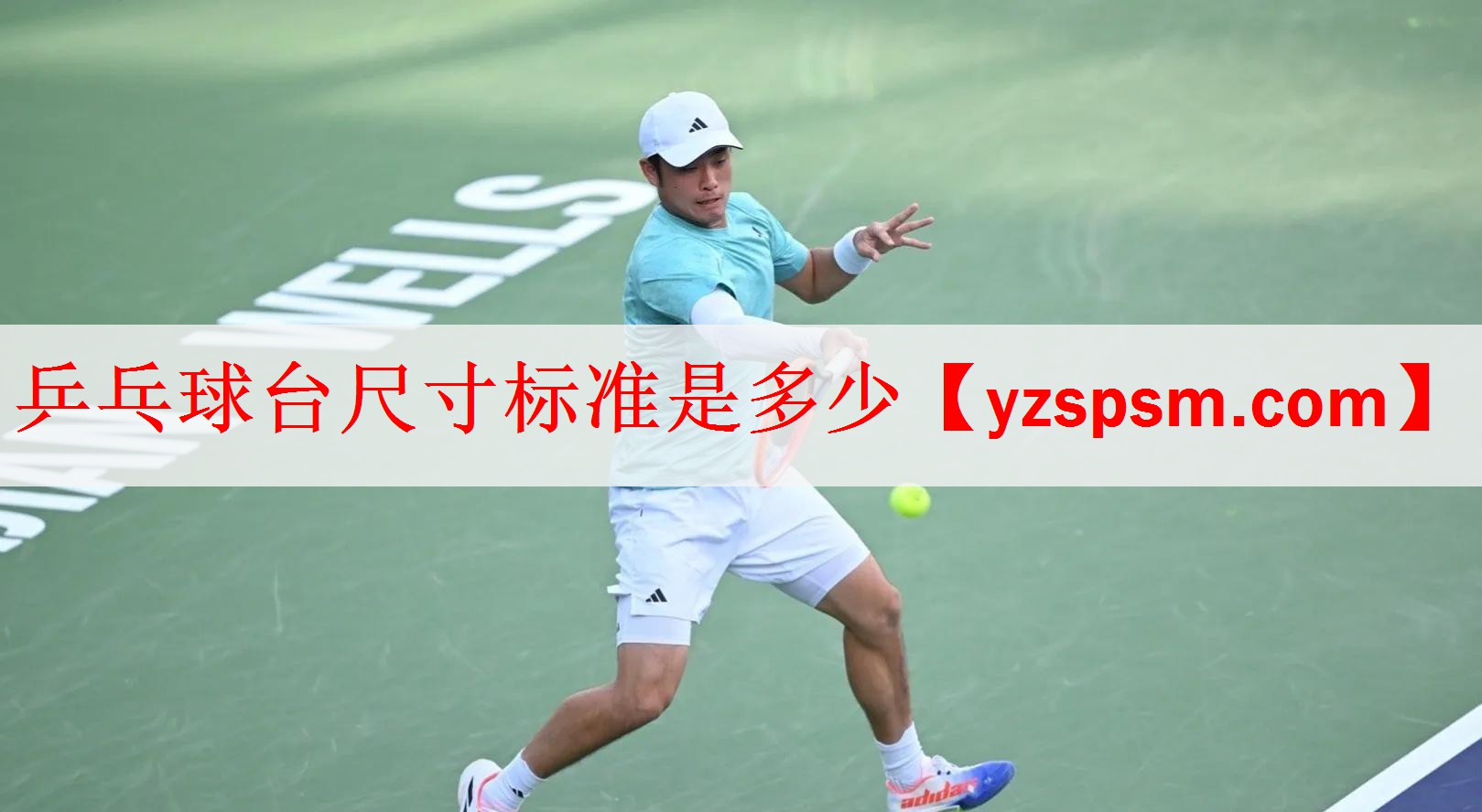 乒乓球台尺寸标准是多少