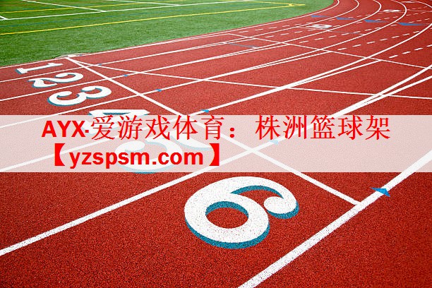 <strong>AYX·爱游戏体育：株洲篮球架</strong>