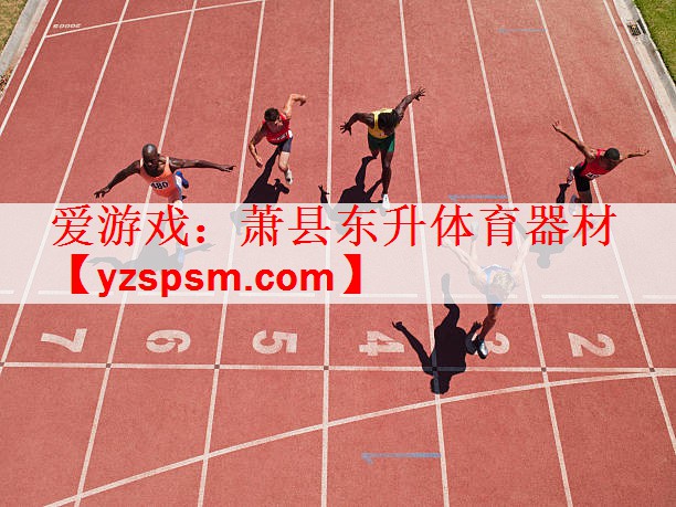 <strong>爱游戏：萧县东升体育器材</strong>