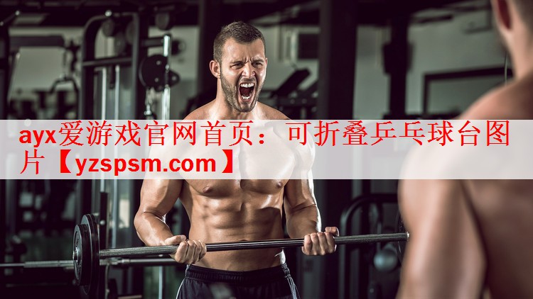 ayx爱游戏官网首页：可折叠乒乓球台图片