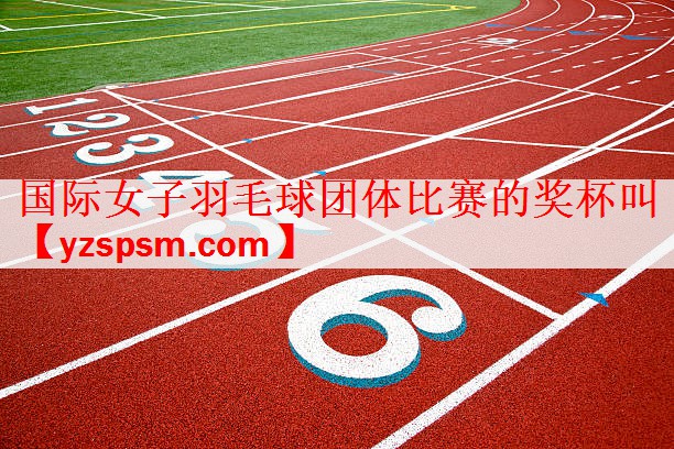 国际女子羽毛球团体比赛的奖杯叫