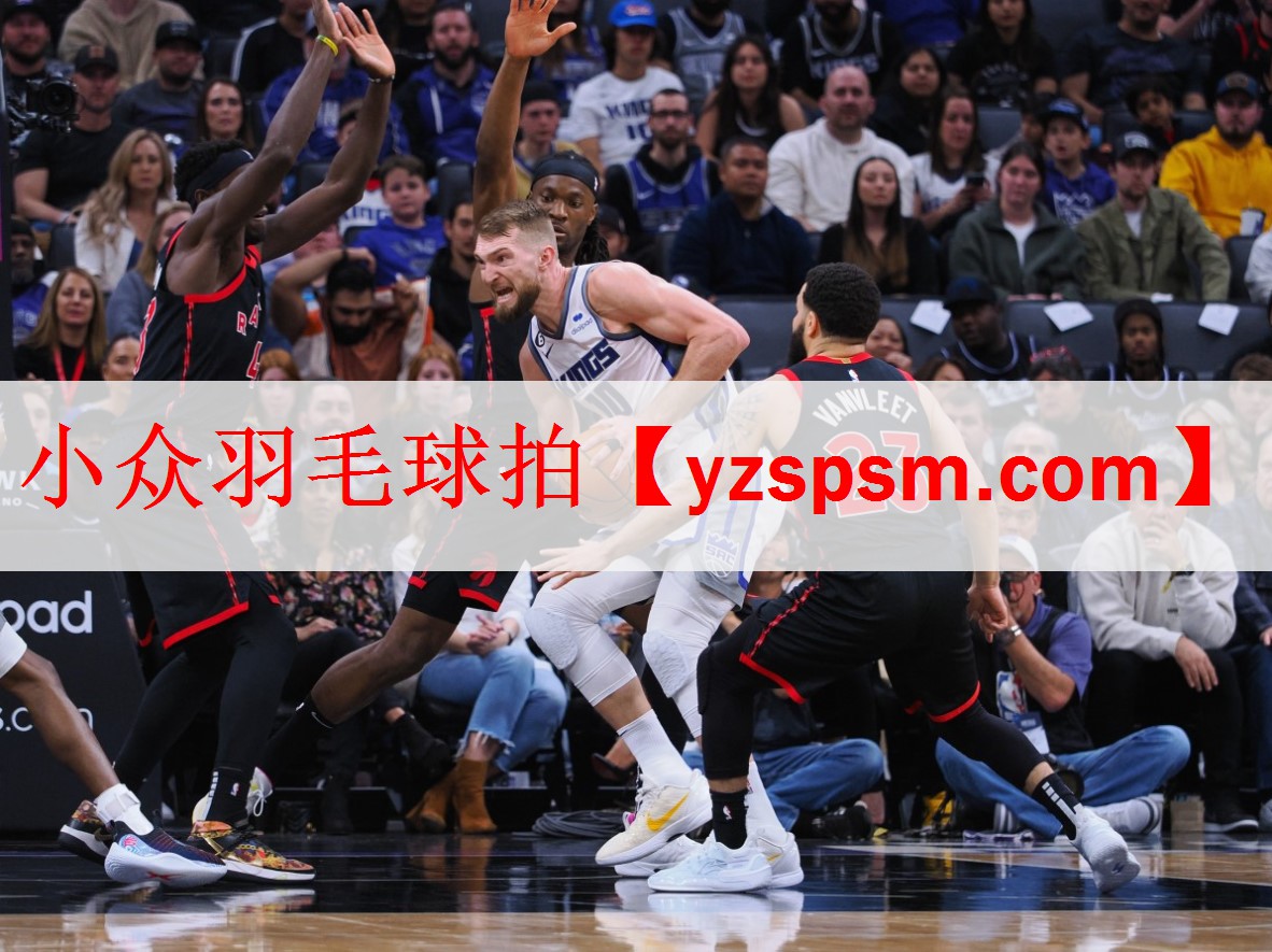 小众羽毛球拍