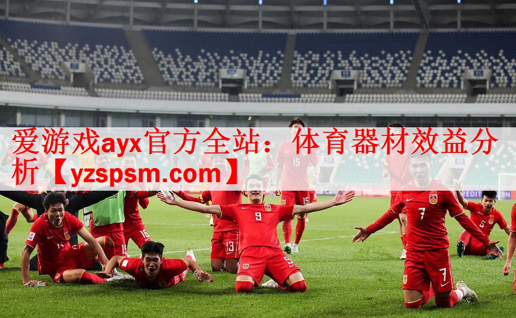 <strong>爱游戏ayx官方全站：体育器材效益分析</strong>