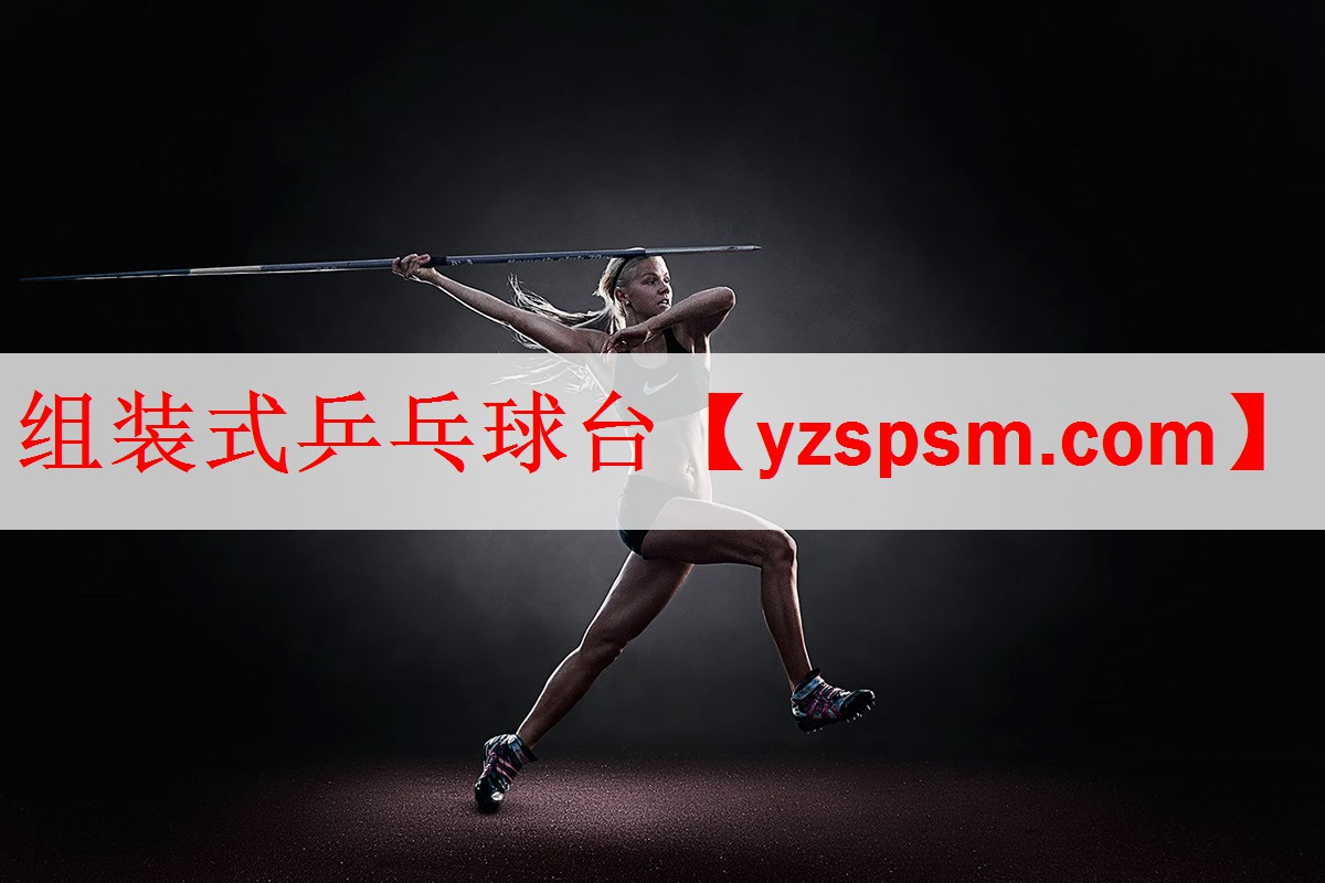 组装式乒乓球台
