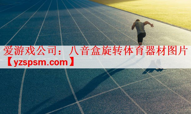 爱游戏公司：八音盒旋转体育器材图片