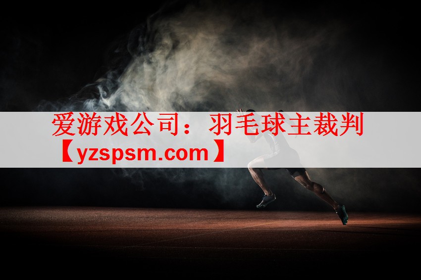 爱游戏公司：羽毛球主裁判