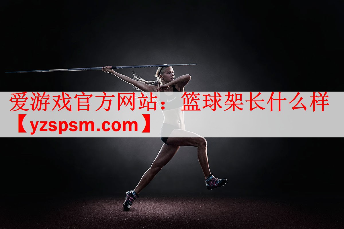 爱游戏官方网站：篮球架长什么样