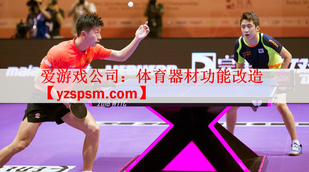 <strong>爱游戏公司：体育器材功能改造</strong>