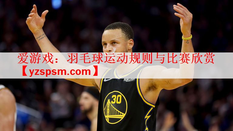 爱游戏：羽毛球运动规则与比赛欣赏