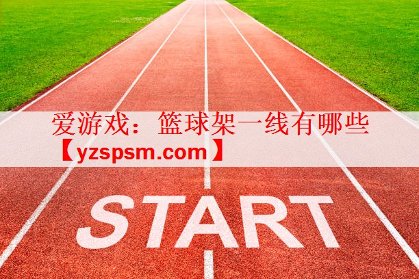 <strong>爱游戏：篮球架一线有哪些</strong>