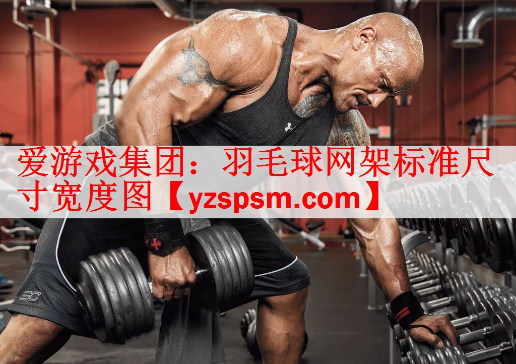 <strong>爱游戏集团：羽毛球网架标准尺寸宽度图</strong>