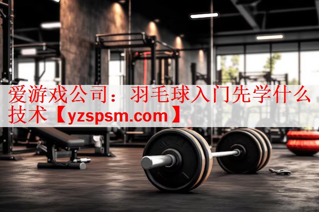 爱游戏公司：羽毛球入门先学什么技术
