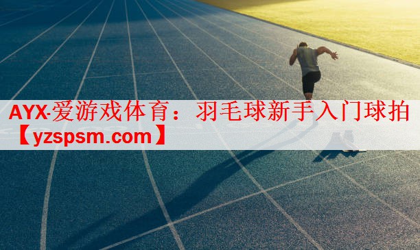 AYX·爱游戏体育：羽毛球新手入门球拍