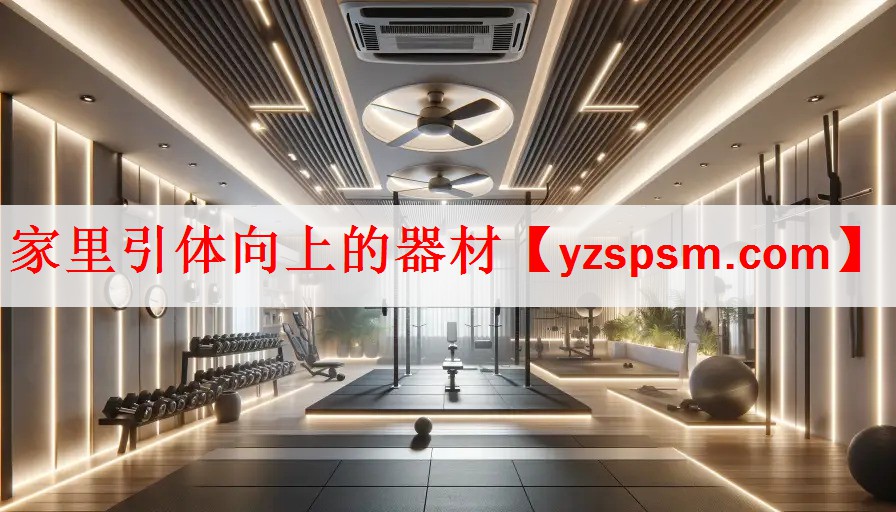 家里引体向上的器材 家里引体向上的器材