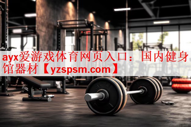 国内健身馆器材