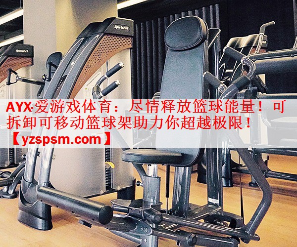 尽情释放篮球能量！可拆卸可移动篮球架助力你超越极限！
