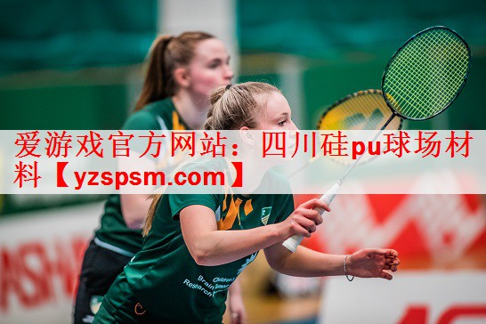 四川硅pu球场材料
