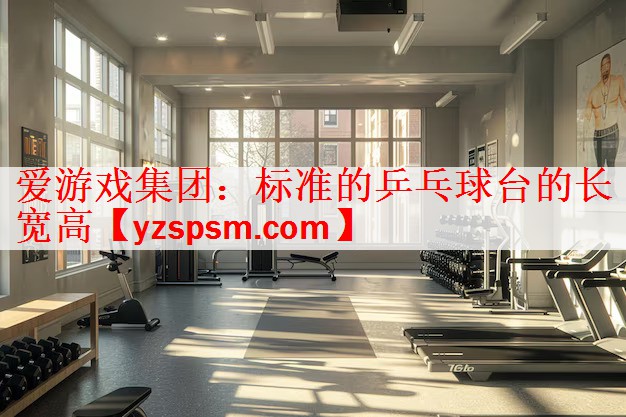 标准的乒乓球台的长宽高