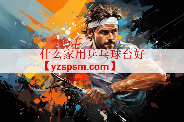 什么家用乒乓球台好